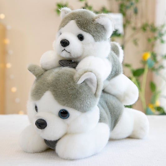 Husky Doll Plush Toys