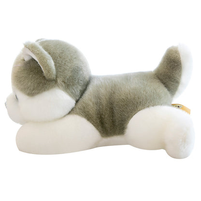 Husky Doll Plush Toys