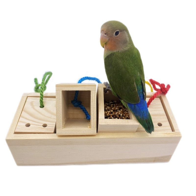 Educational Toys Gnawing Interactive Bird Supplies