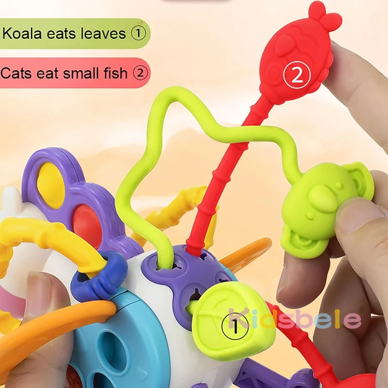 Colorful Animal Sensory Toys Learning and Educational Montessori Toys Fine Motor Skills and Travel Toys