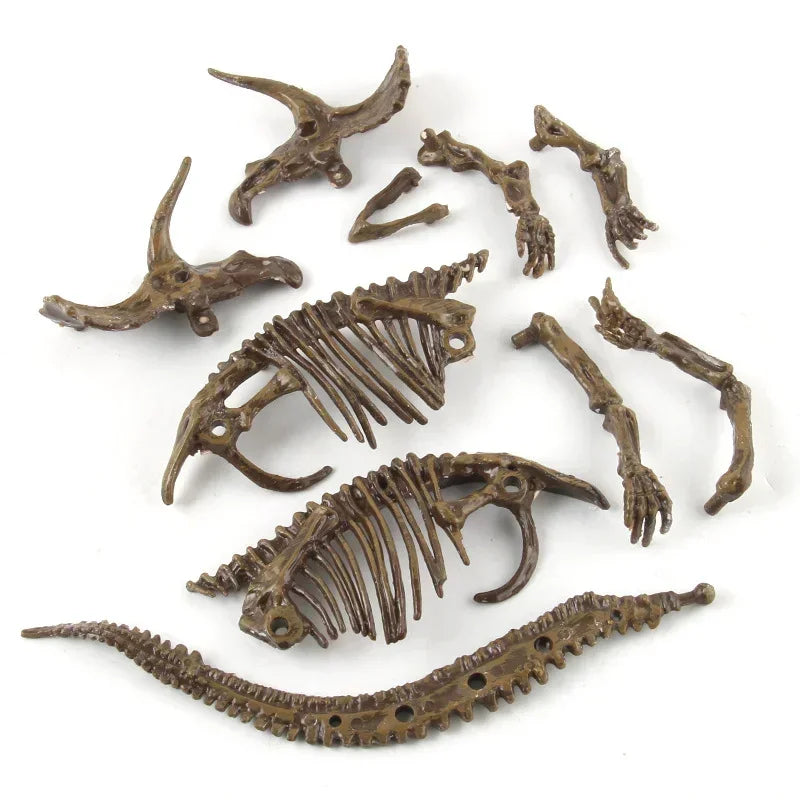 Dinosaur Fossil Excavation Kits Education Archeology Exquisite Jurassic Toy Set Game Action Children Figure Skeleton Model Gift