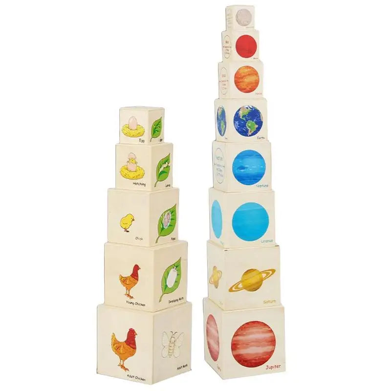 Montessori Wooden Toys Eight Planets Puzzle Earth Sun Solar System Planets,Animal Plant Growth And Change Process Logical Toys