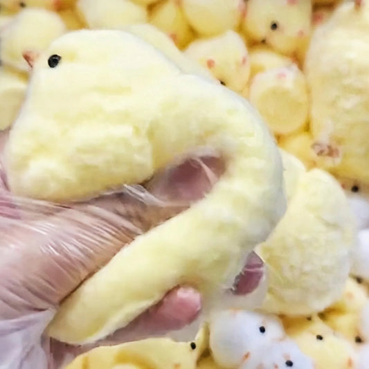 Jouet en peluche en silicone jaune fait à la main pour gros poulet, mignon, poussin, poulet, jouet à presser, anti-stress pour la main