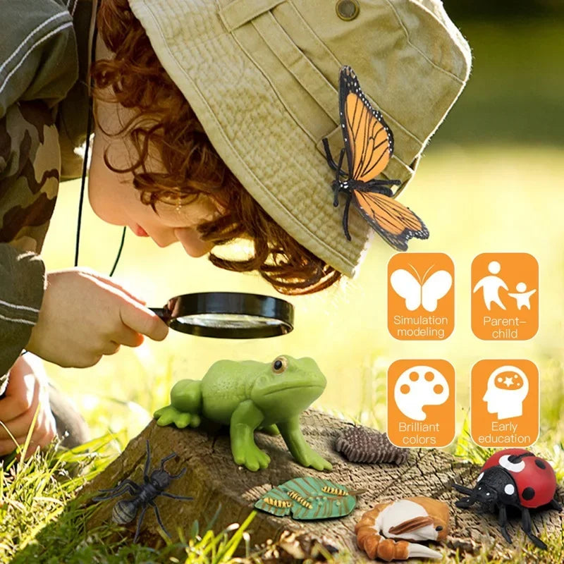 Children Simulation Biology Model Toy Animal Plant Life Growth Cycle Montessori Children Toys Set Teaching Aids Educational Toys