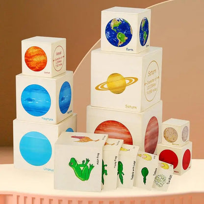 Montessori Wooden Toys Eight Planets Puzzle Earth Sun Solar System Planets,Animal Plant Growth And Change Process Logical Toys