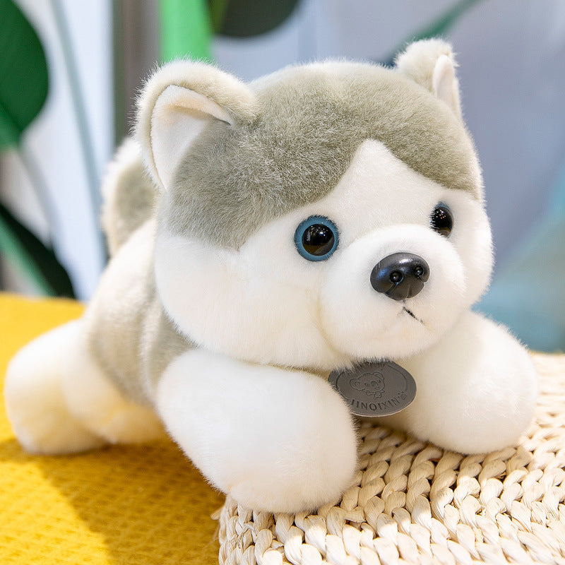 Husky Doll Plush Toys